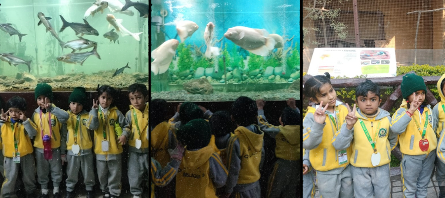 School Picnic Day 2025 Selaqui